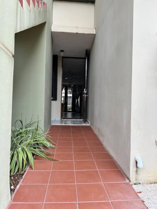 Entire Beach Apartment With View To El Yunque National Rain Forest Rio Grande Buitenkant foto
